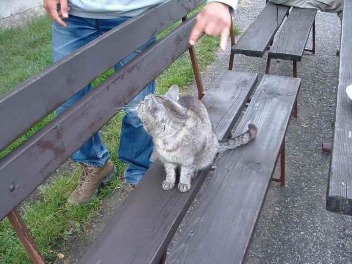 Výlet do Police nad Metují a okolí.