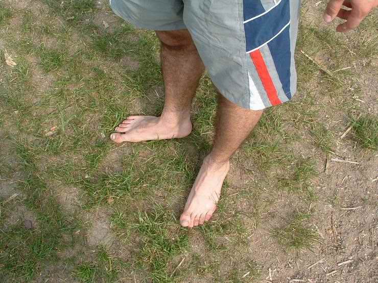 Řehačka