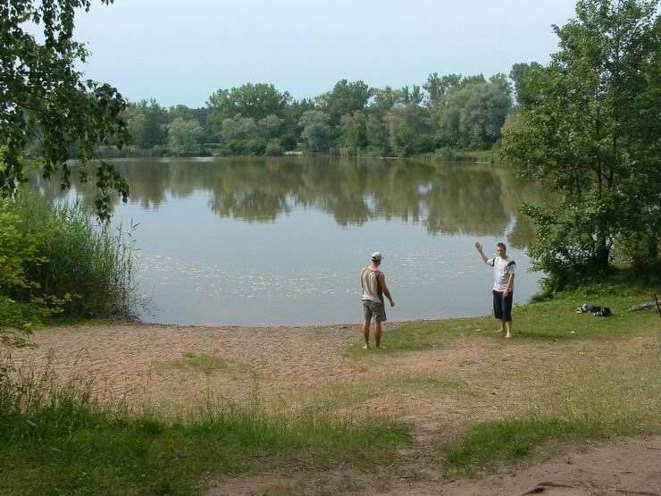 Řehačka