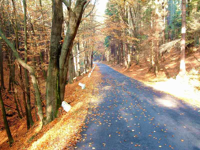 Z hřenska do České Kamenice