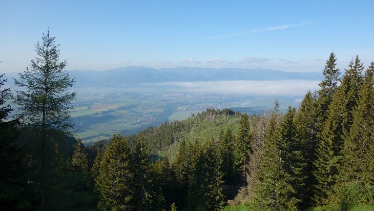 Roháče