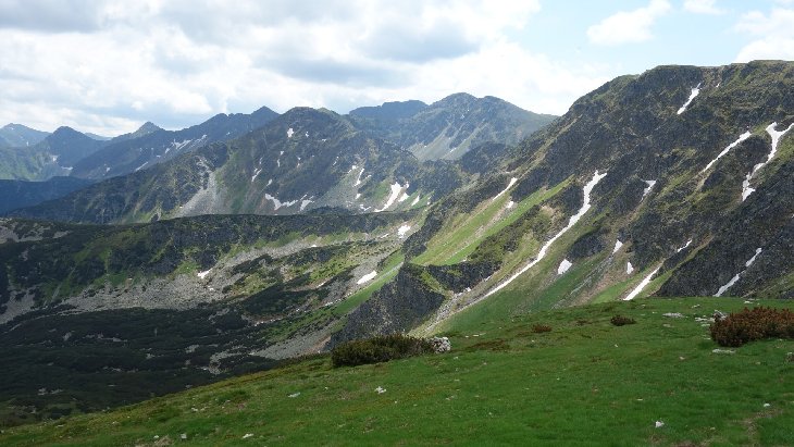 Roháče