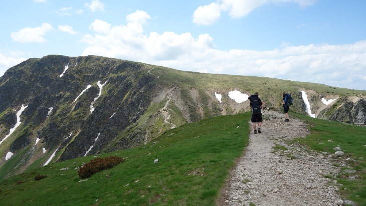 Roháče