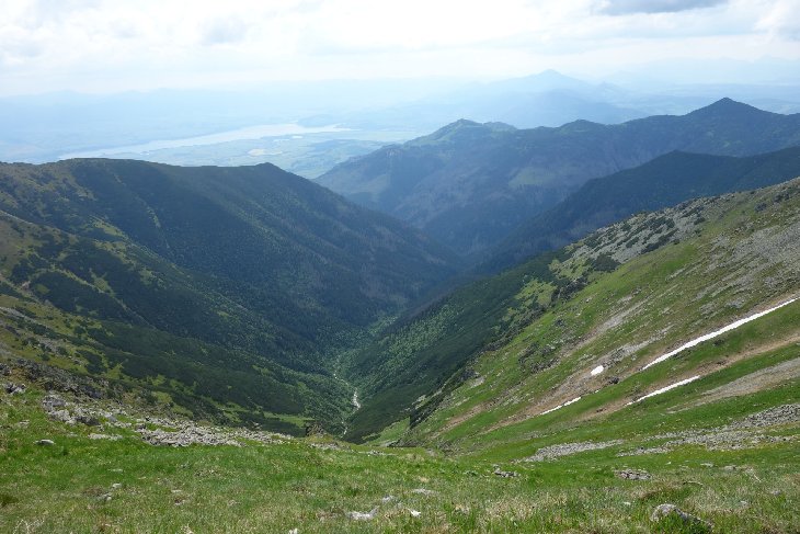 Roháče