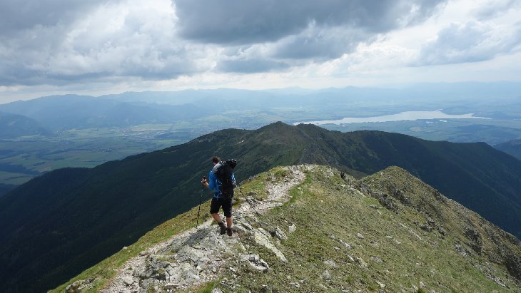 Roháče