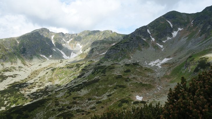 Roháče