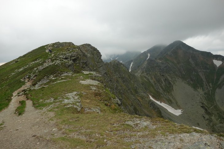 Roháče