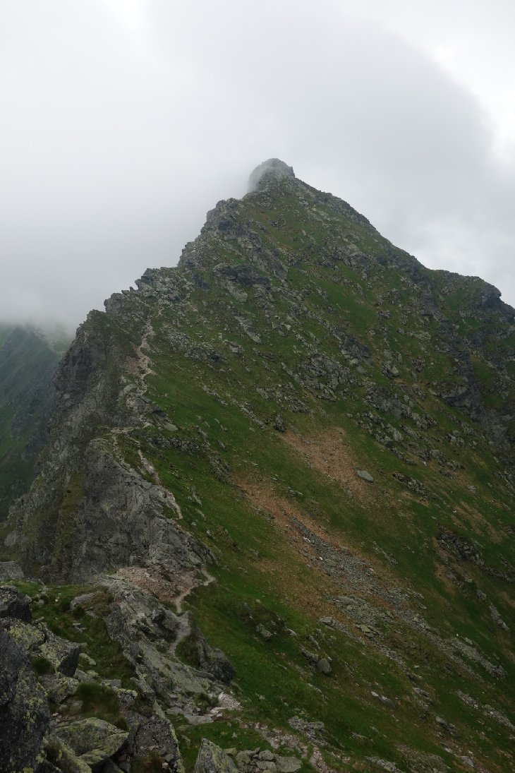 Roháče