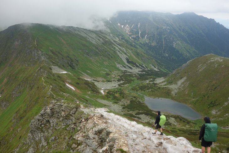 Roháče