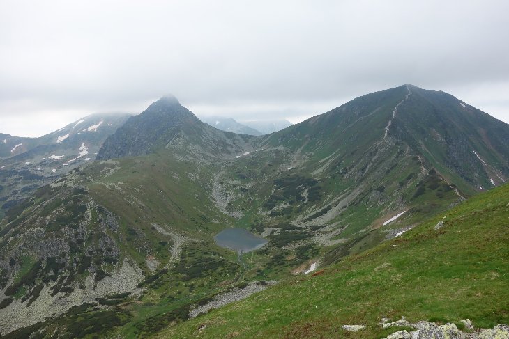Roháče