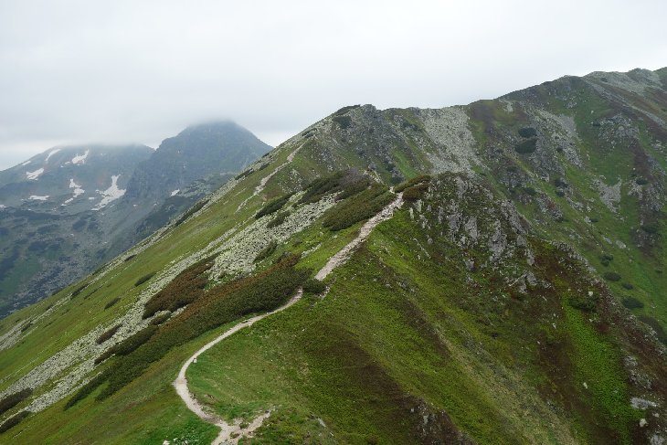 Roháče
