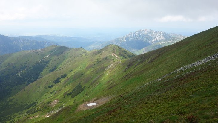 Roháče