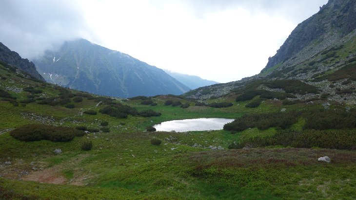 Roháče