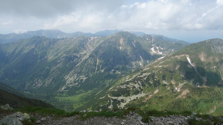 Roháče