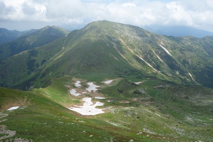 Roháče