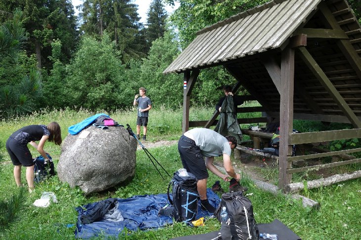 Roháče