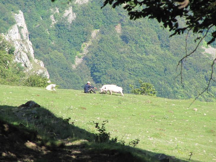 I prasata tam měli.