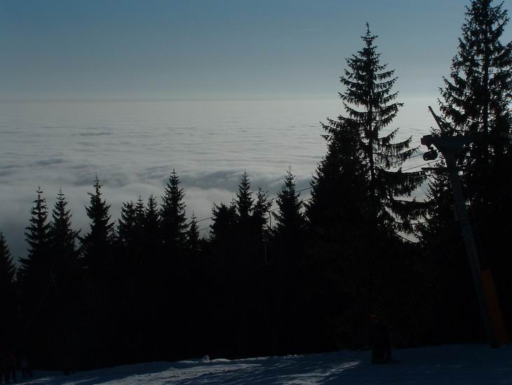 Silvestr Krkonoše