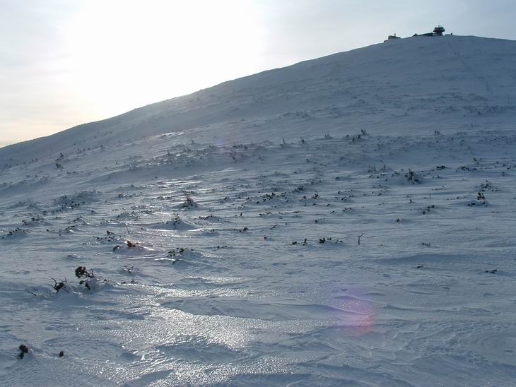 Silvestr Krkonoše