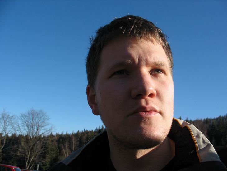Datel zahleděn do dáli, asi hledá strom.
