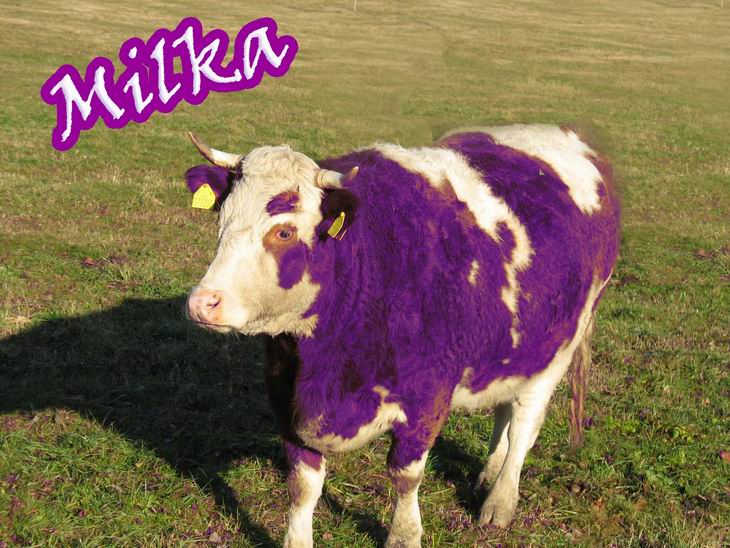 Náštěva z reklamy