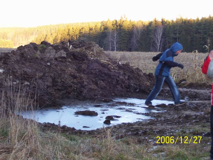 Kuba má rád teplo a tak se rochní ve hnoji