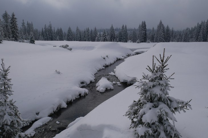 Sněžnice - Šumava