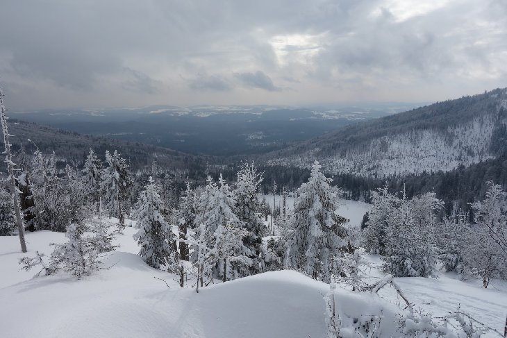 Sněžnice - Šumava