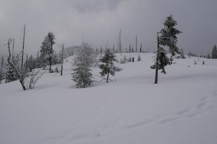 Sněžnice - Šumava