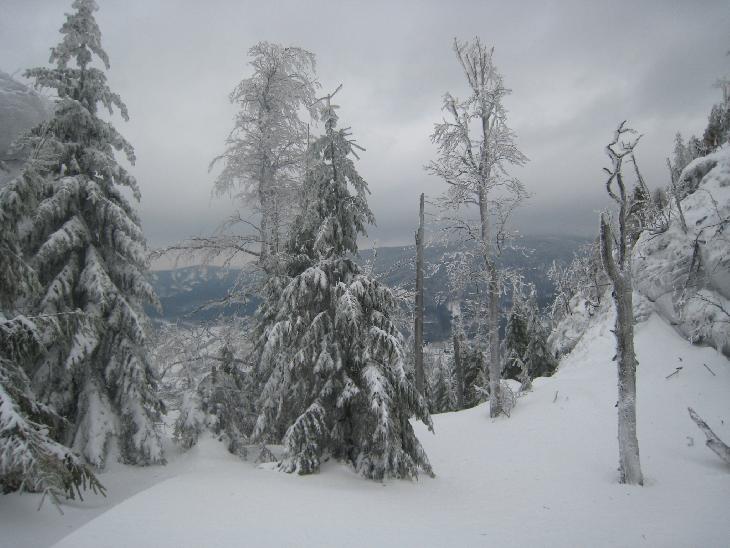 Sněžnice 2012