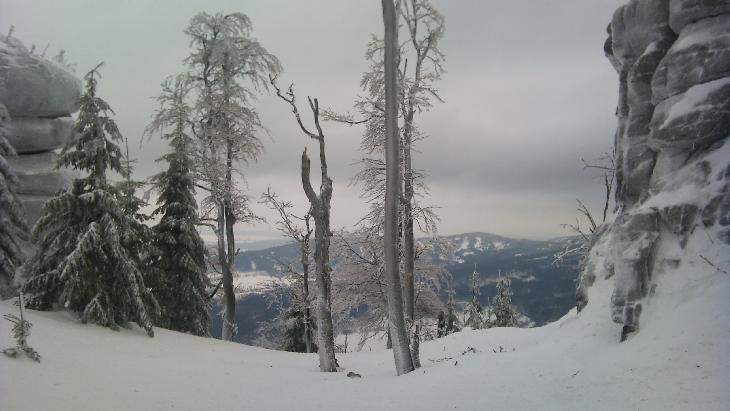 Sněžnice 2012