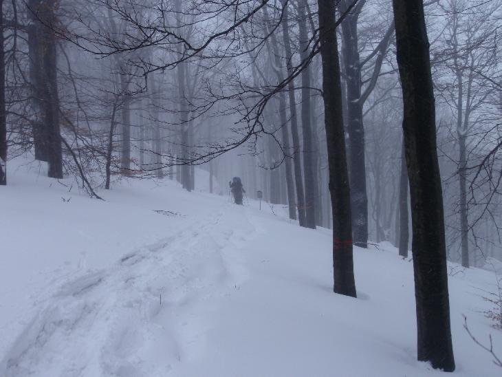 Sněžnice 2012