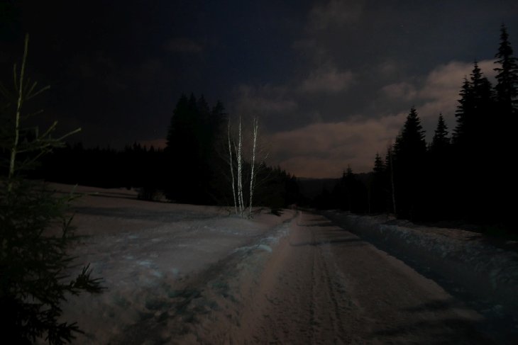 Měsíc nám svítil na cestu.