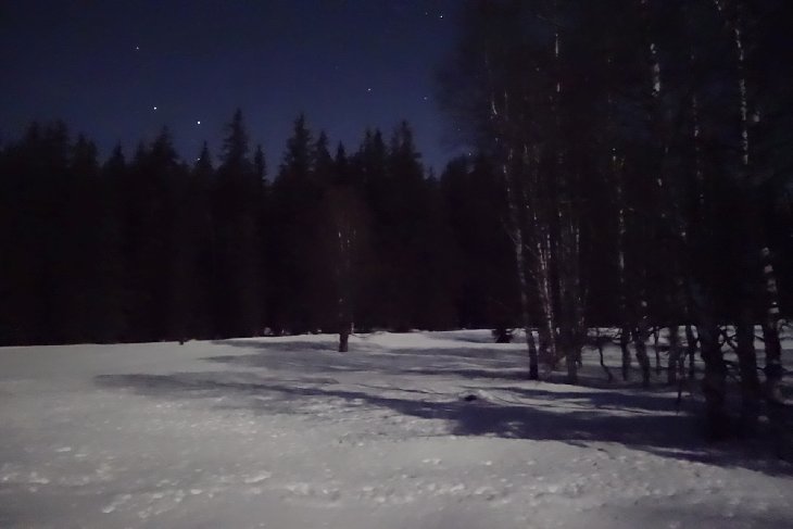 Sněžnice - Šumava