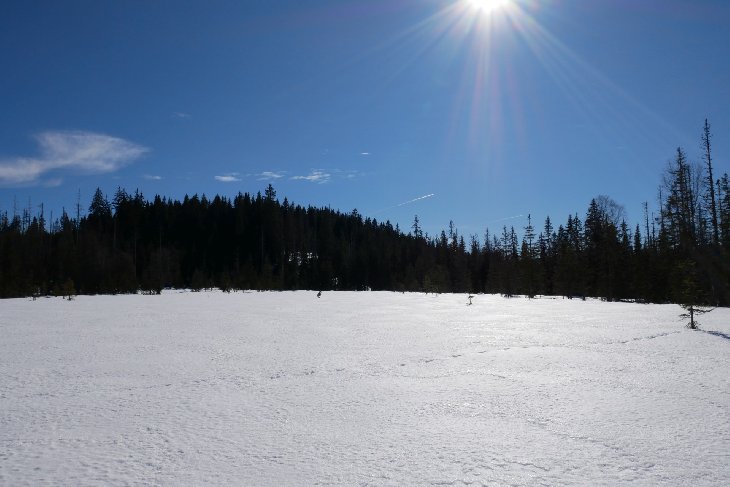 Sněžnice - Šumava