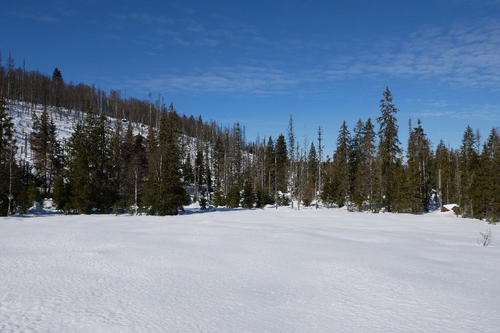 Sněžnice - Šumava