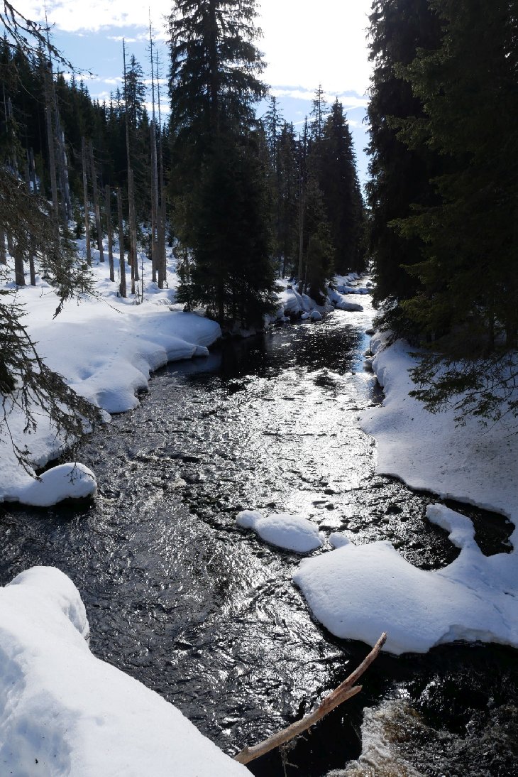 Sněžnice - Šumava