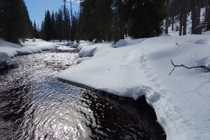 Sněžnice - Šumava