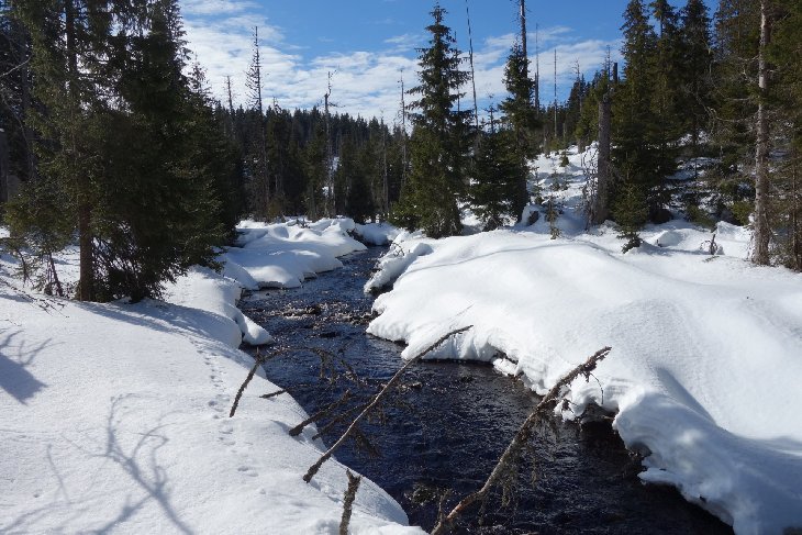 Sněžnice - Šumava