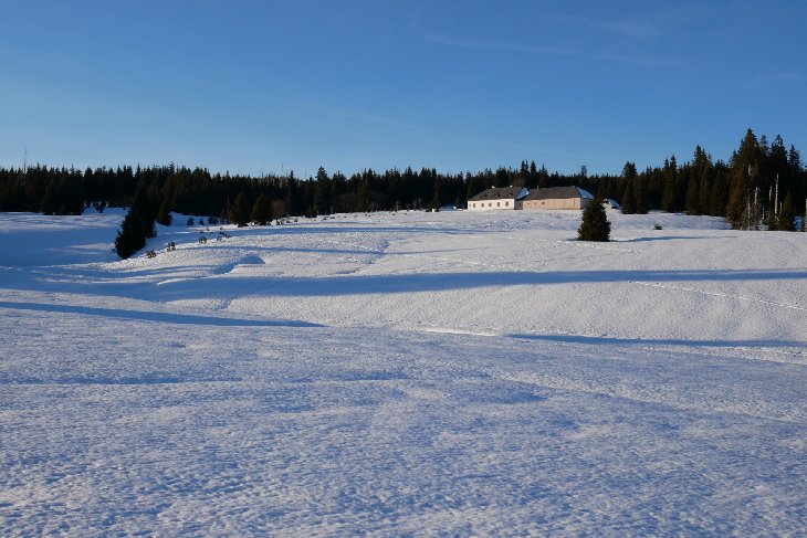 Sněžnice - Šumava
