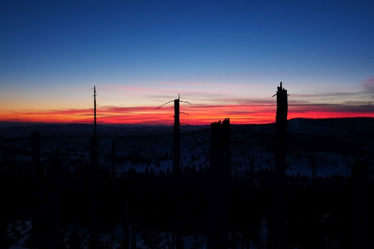 Sněžnice - Šumava
