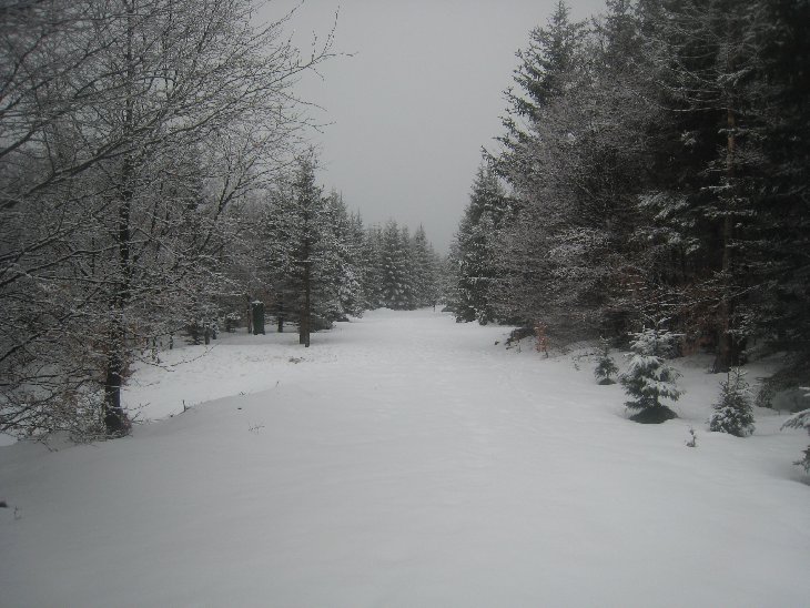 Sněžnice - Jizerky