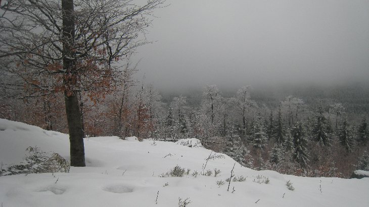 Sněžnice - Jizerky