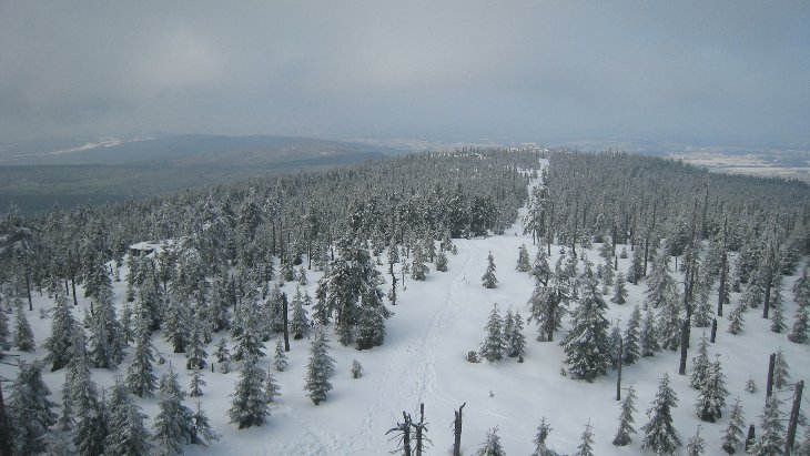 Sněžnice - Jizerky
