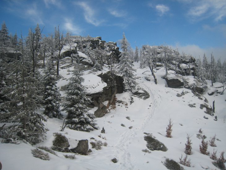 Sněžnice - Jizerky