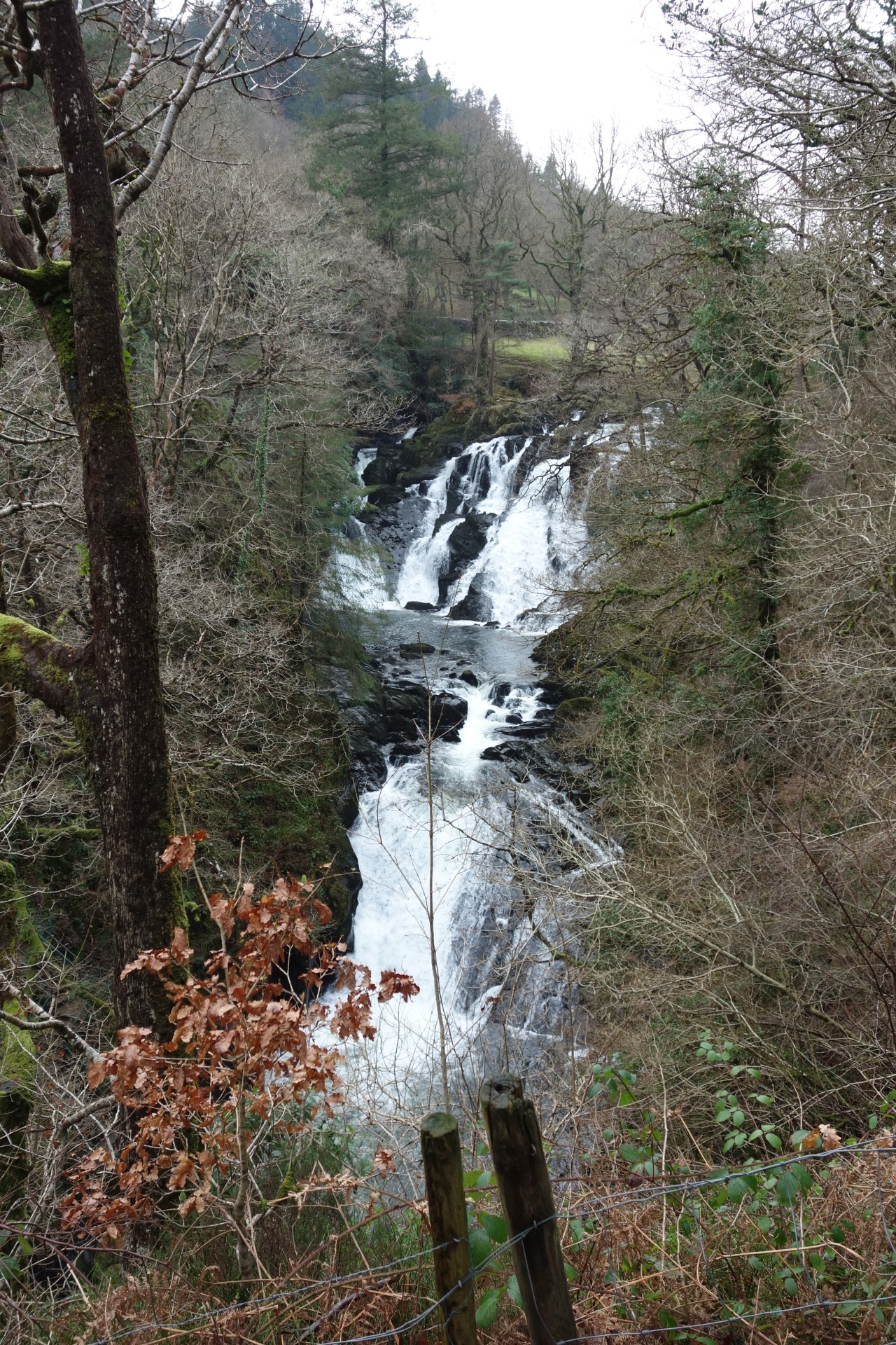 První taková zajímavá věc byly vodopády Swallow falls..
