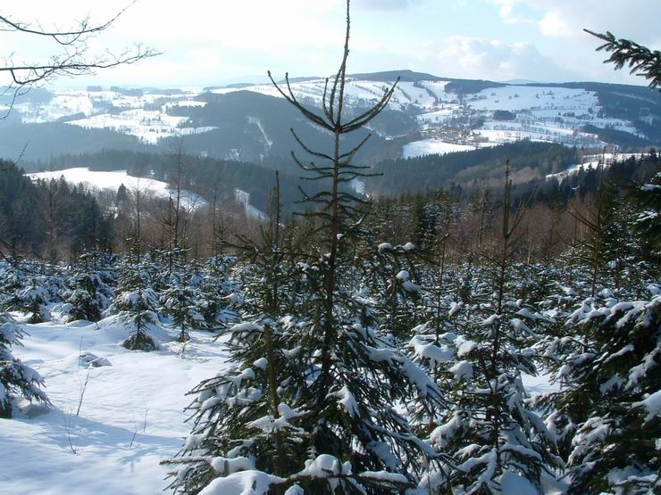 Strážné 2007