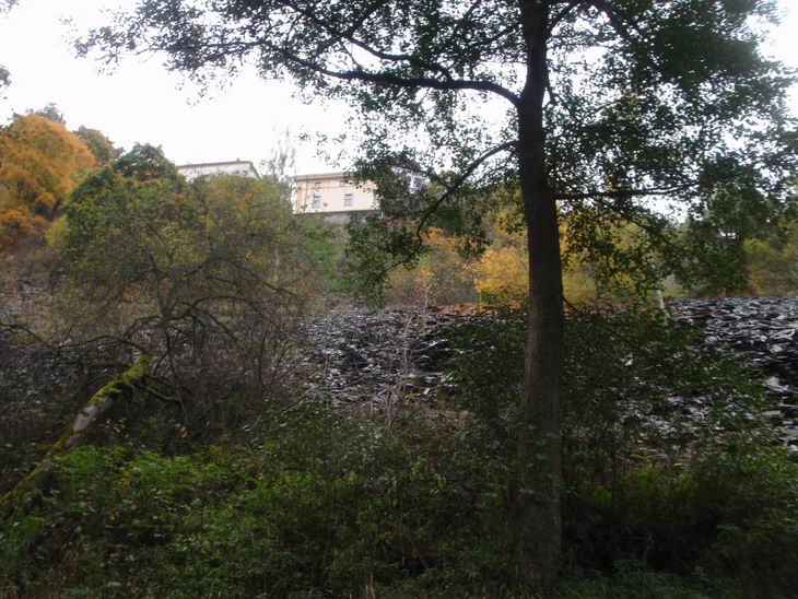Střela