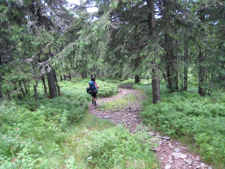 Tatry 2011