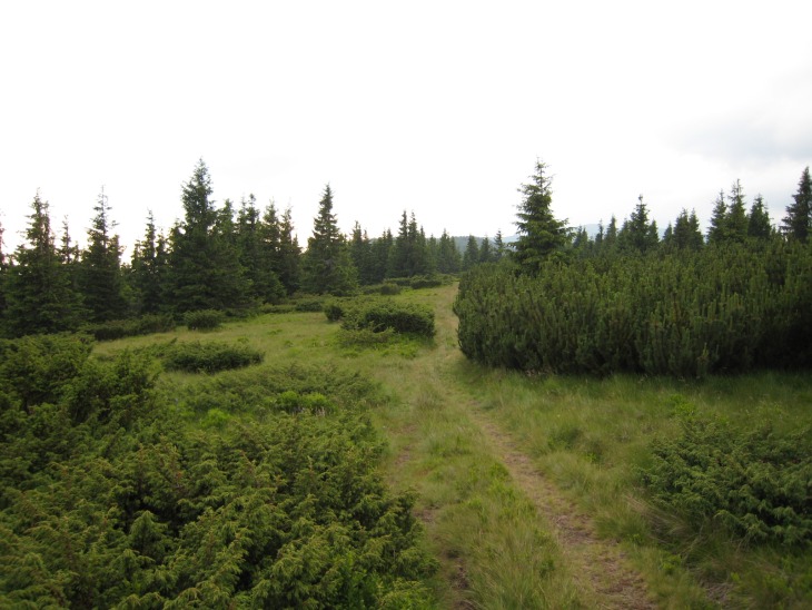 Tatry 2011
